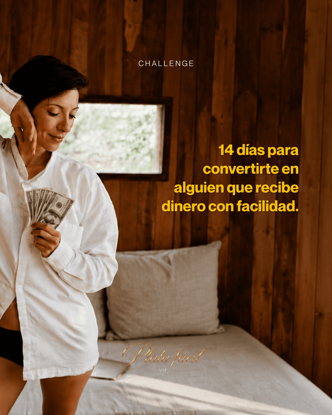 Plata Fácil VIP